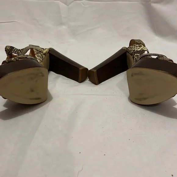 Python platforms - Picture 3 of 3